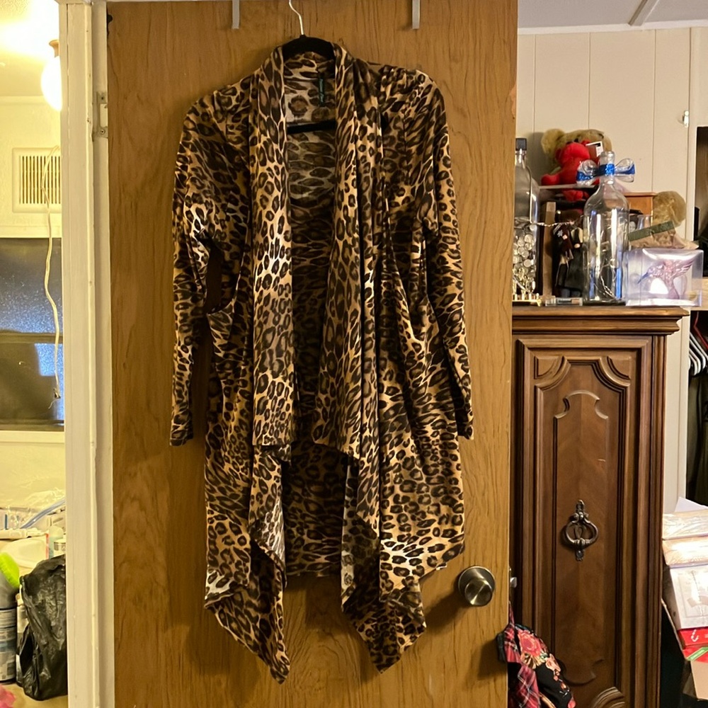 Animal Print long sleeved dress with attached matching sleeveless over vest